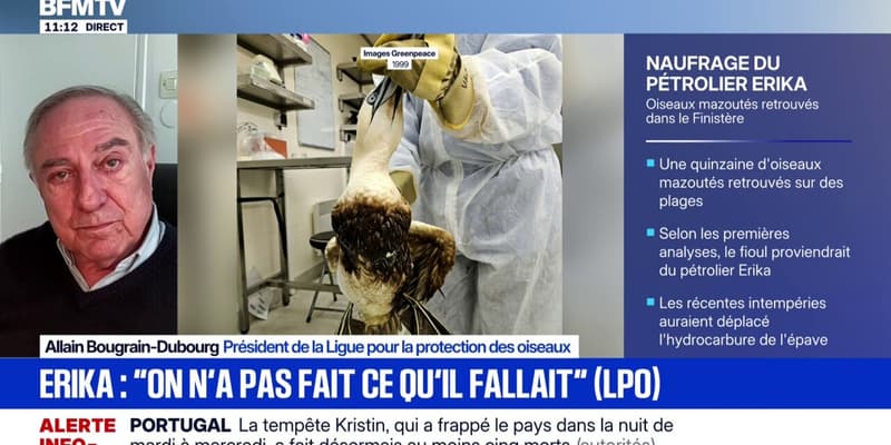 Oiseaux mazoutés à cause des résidus du naufrage de l'Erika: "Ces naufrages tuent deux fois", déclare Allain Bougrain-Dubourg (Ligue pour la protection des oiseaux)