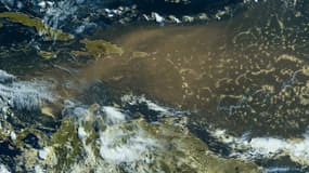 Un important phénomène de brume de sable touche les Caraïbes. 