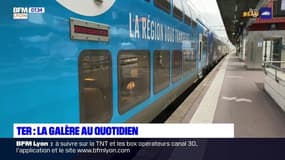 Lyon-Grenoble: les usagers du TER se plaignent des retards et des suppressions de train à répétition