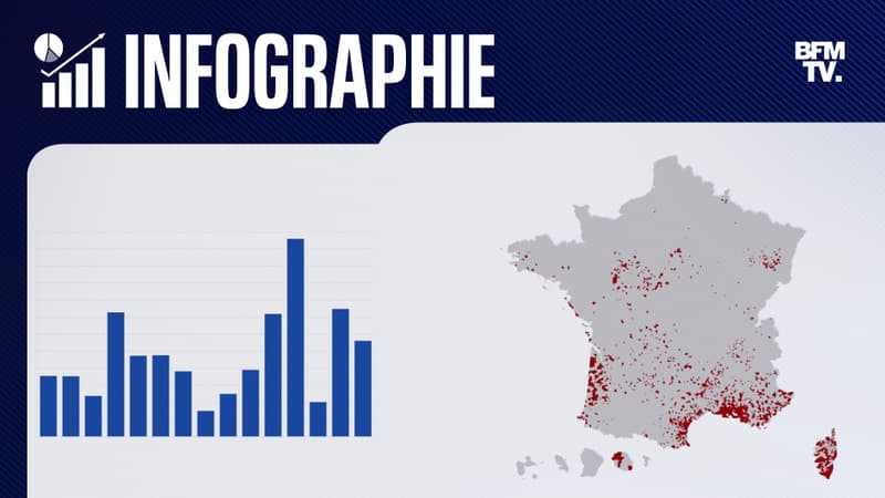 INFOGRAPHIES. Des incendies plus virulents et plus étendus: année après année, la France s'embrase