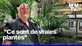 ROBIN DE BFM - Saviez-vous que le métro parisien abritait une serre tropicale de 400m², un lieu unique au monde?