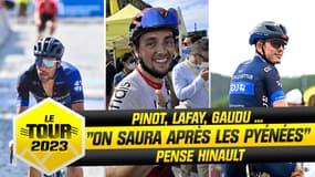 Tour de France (E3) : Gaudu, Pinot, Lafay ? "A la sortie des Pyrénées on saura qui est dans le coup" prévoit Hinault