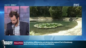 Circulation des trains perturbée, circulation différenciée sur les routes, sécheresse... quelles sont les conséquences de la canicule?