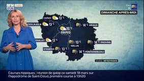 Météo Paris-Île-de-France: un ciel gris et chargé avec un risque d'averses, 15°C à Paris
