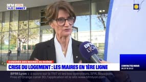 ZAN: la présidente de l'association des maires du Rhône appelle à "travailler de manière plus fine"