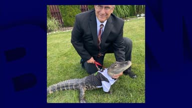 Photo de Joie Henney et de son alligator Wally, publiée le 19 octobre 2021 sur Instagram. 
