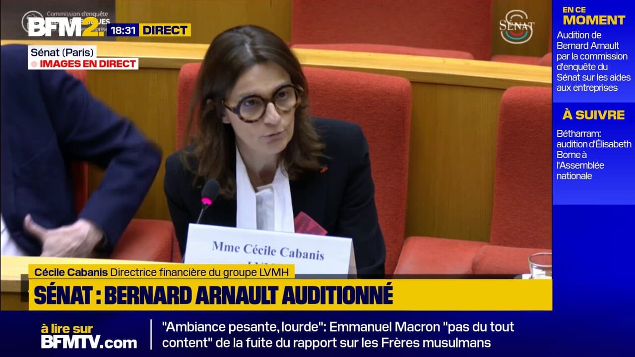 Lvmh auditionné au sénat: 