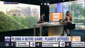 Pollution au plomb autour de Notre-Dame: "dès le début, il y a eu une carence d'informations qui s'est poursuivie pendant des semaines", déplore Jacky Bonnemains, président de l'association Robin des Bois, qui annonce déposer plainte pour mise en danger d