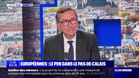 Européennes : Le RN peut-il encore perdre les élections ? - 25/05