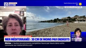 30 cm en moins en Méditerranée: la chercheuse Sandrine Ruitton parle d'un phénomène "naturel"