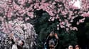 Des personnes prennent des photos dans le parc Ueno pour voir les cerisiers en fleurs à Tokyo, le 14 mars 2023. 