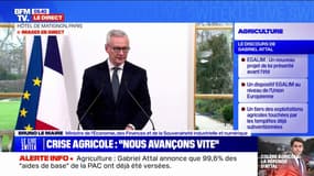 Colère des agriculteurs: Bruno Le Maire fait le point sur les contrôles en cours chez les industriels et distributeurs