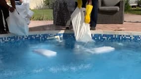 À Dubaï, des habitants se font livrer des blocs de glace pour rafraîchir leur piscine