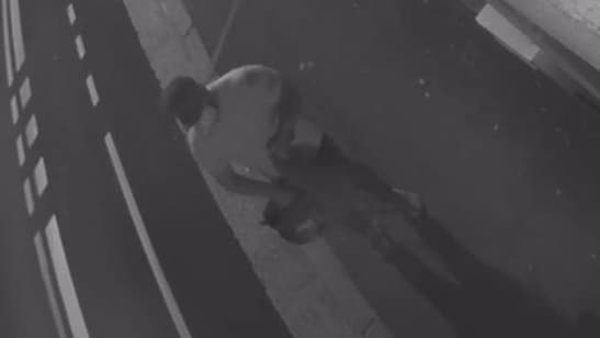 Un suspect en train de déposer un tête de cochon devant la mosquée de Malakoff, dans la nuit du lundi 8 au mardi 9 septembre