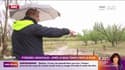 Pyrénées-Orientales : le retour de la pluie comme un événement