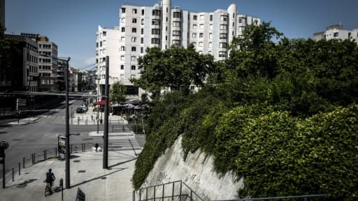 Un "corridor vert" rue Garibaldi à Lyon, le 25 juillet 2018