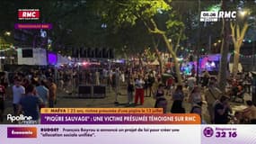 "J'ai eu un très très gros coup de chaud, j'étais en nage": une victime présumée d'une "piqûre sauvage" au bal des pompiers de Fréjus témoigne