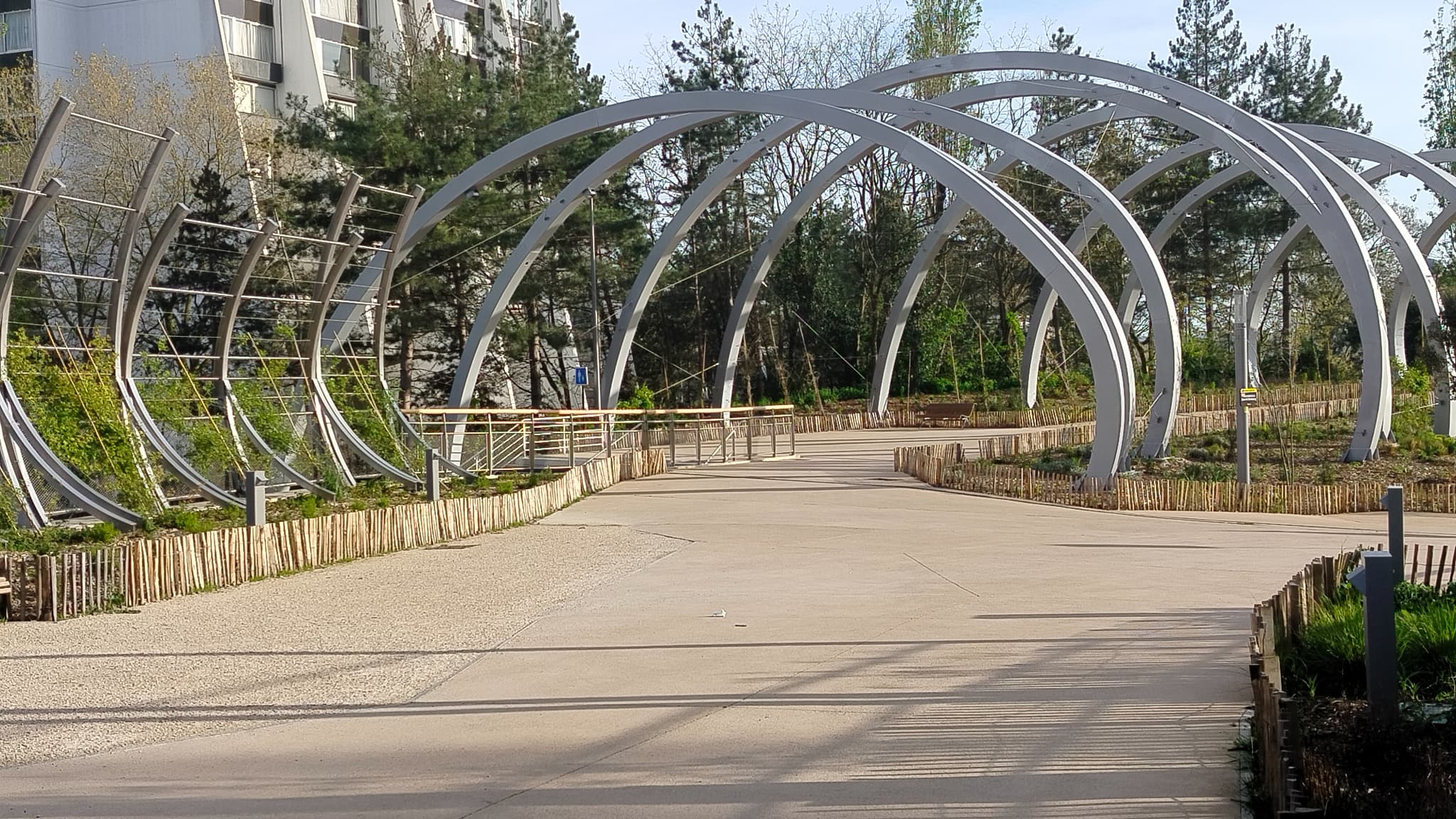 Le mode "Photo" du Realme C67.