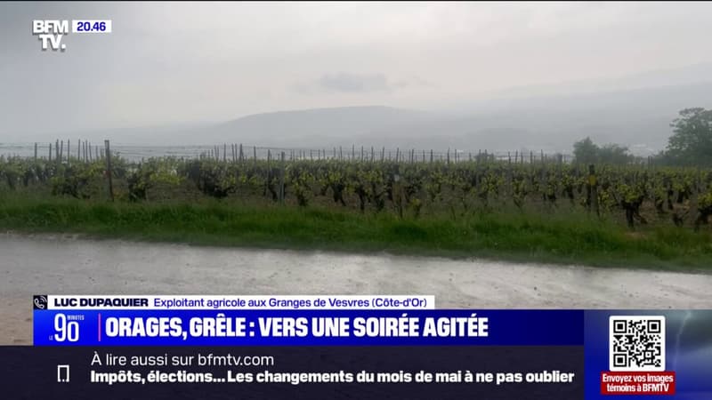 Les céréales sont très impactées: Le témoignage d'un exploitant agricole en Côte-d'Or dont l'exploitation a été touchée par un orage de grêle