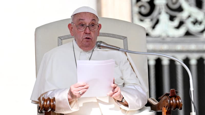 Le pape François au Vatican le 28 août 2024