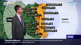 Météo Alsace: de la pluie ce jeudi, jusqu'à 12°C à Colmar et 13°C à Strasbourg
