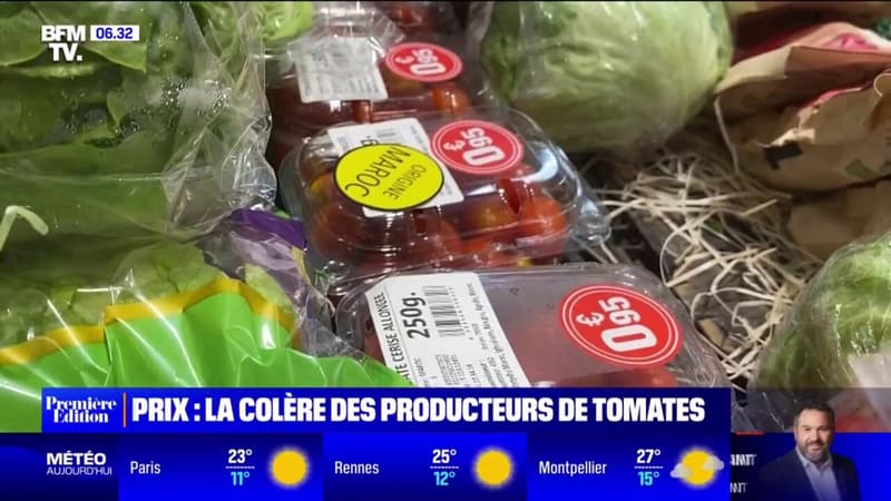Les producteurs de tomate dénoncent une sur-représentation de tomates d'origine marocaine dans les grandes surfaces