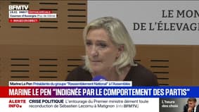 Crise politique: "Ils crèvent de peur de retourner devant les électeurs" déclare Marine Le Pen à propos d'une partie de la classe politique