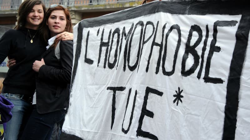 Une manifestation à Toulouse le 17 novembre 2012 (photo d'illustration).