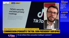 TikTok: "des règles [de modération] pas suffisamment claires et protectrices", pour Arthur Delaporte