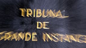 La première chambre civile du tribunal de grande instance de Paris a estimé qu'ils contestaient en fait le régime juridique applicable aux contrôles d'identité et donc la loi elle-même.