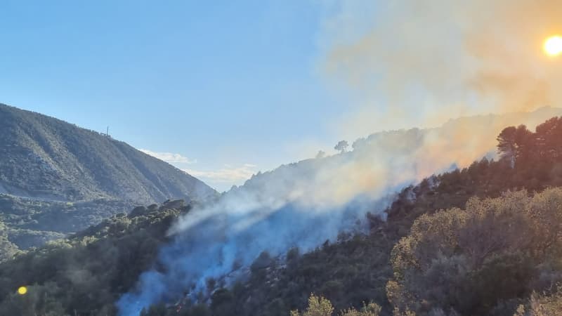 Un incendie s'est déclaré à La Trinité le lundi 17 avril 2023. 