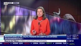 Idée de placements : Investir dans le vin, faut-il prendre en compte les critères environnementaux ? 08/12
