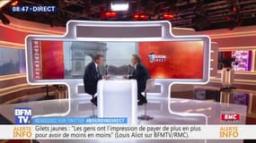 Louis Aliot: "On oublie qu'il a développé son entreprise sur un rabotage social et de l'emploi en France. Il n'y a plus que 19% des véhicules de Renault qui sont fabriqués en France."