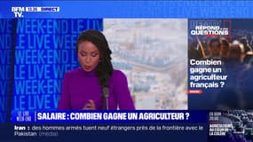 Combien gagne un agriculteur? BFMTV répond à vos questions