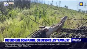 Incendie de Gonfaron: où en sont les travaux ? 