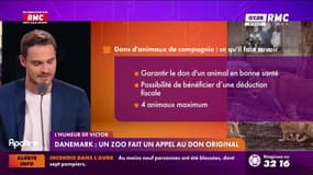 L'humeur de Victor : Danemark, un zoo fait un appel au don original - 06/08