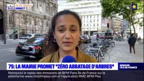 Paris: la mairie promet "zéro abattage d'arbres"