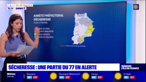 Sécheresse: une partie de la Seine-et-Marne en alerte