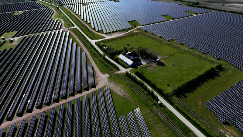"Oui aux champs de blé, non aux champs de fer": le Danemark est le champion d'Europe de l'électricité verte mais dans les campagnes la colère monte contre les panneaux solaires à perte de vue
