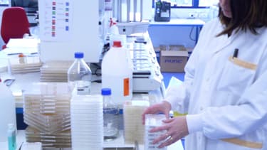 Cellectis a dû suspendre deux études de phase I sur son produit UCART123, médicament expérimental fondé sur des cellules T reprogrammées génétiquement.