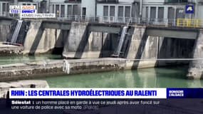 Rhin: les centrales hydroélectriques tournent au ralenti