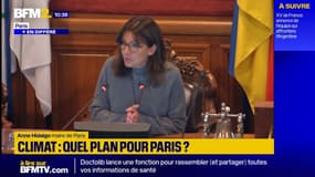Anne Hidalgo: "Nous allons continuer à réduire la circulation automobile"