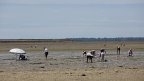 Des pécheurs à pieds sur le passage du Gois à Noirmoutier le 16 mai 2017