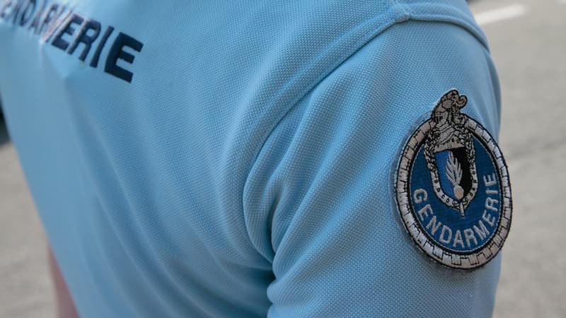 L'enquête a été confiée à la brigade de recherches de la gendarmerie de Coulommiers. (Photo d'illustration)