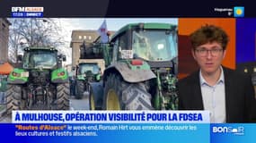 Mulhouse: opération visibilité pour la FDSEA, une soixantaine de personnes mobilisées