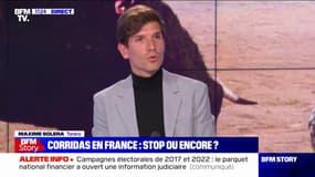 Maxime Solera, torero: "Le taureau de combat a des prédispositions pour combattre depuis sa naissance"