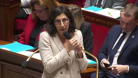 Rima Abdul Malak, ministre de la Culture, qualifie "d'écovandalisme" les actions des militants écologistes dans les musées