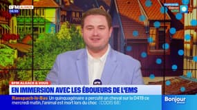 Le journal de 8h30 du vendredi 31 octobre 2025