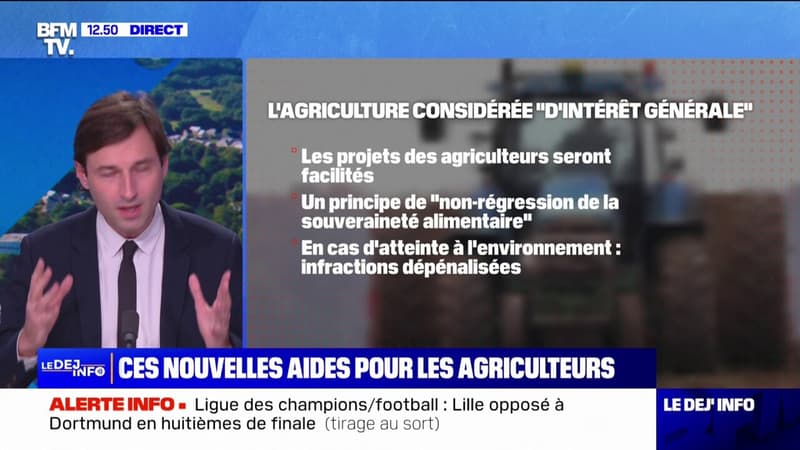 Loi d'orientation agricole: quelles sont les nouvelles aides pour les agriculteurs?