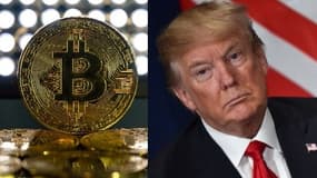 Le bitcoin et Donald Trump.
